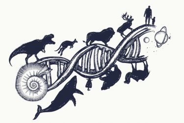 DNA dieren omnigen anigen